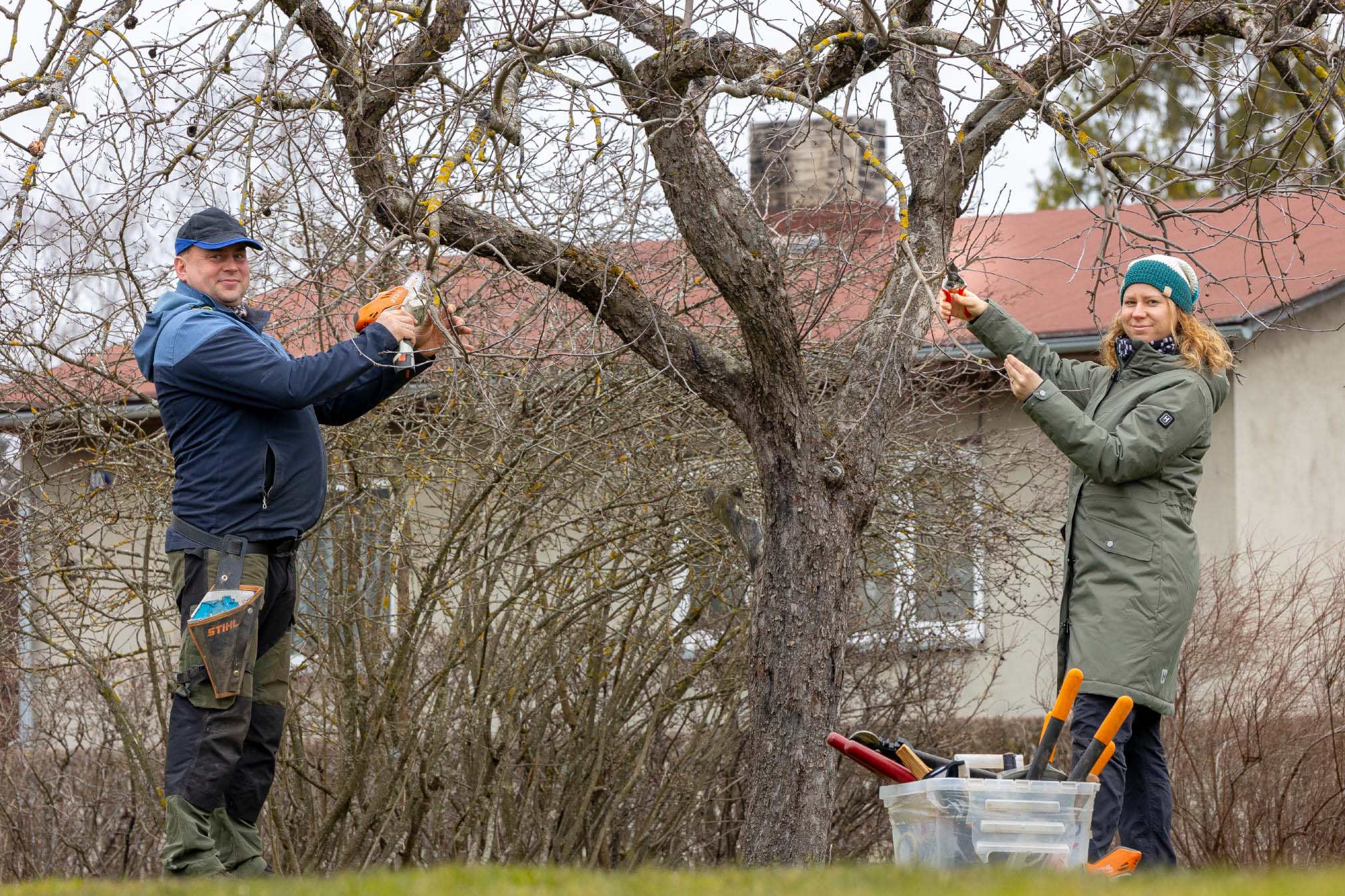 Jaanika Jürisoo juhib koos abikaasa Tarmo Jürisooga osaühingut Astrantia, mis pakub peale maastiku hoolduse ja korrashoiu ka viljapuude lõikust. Foto: Aigar Nagel